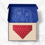 Bandana Packaging - Image 2