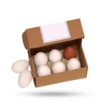 Custom Egg Cartons - Image 2