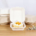 Disposable Bento Boxes