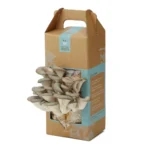 Mushroom Boxes - Image 3