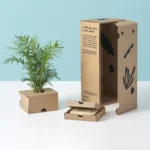 Plant Packaging