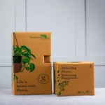 Plant Packaging - Image 2