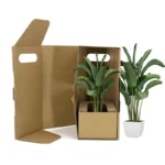Plant Packaging - Image 3
