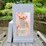 Tall Cake Boxes