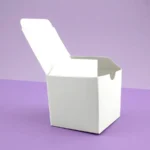 White Kraft Boxes